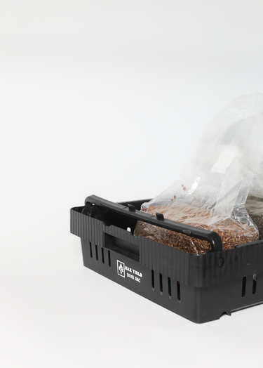 Harvest Utility Tray